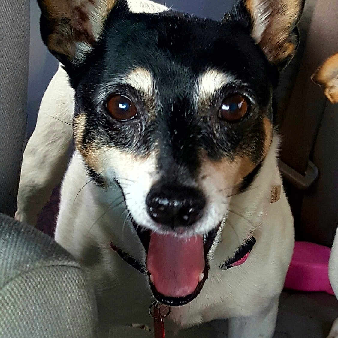 Macie Mae