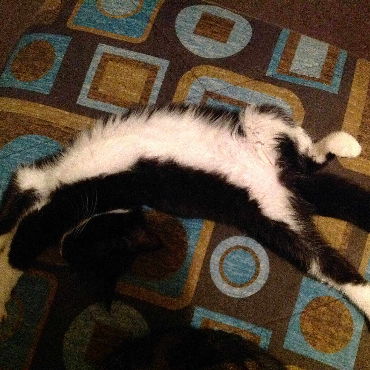 Stretch