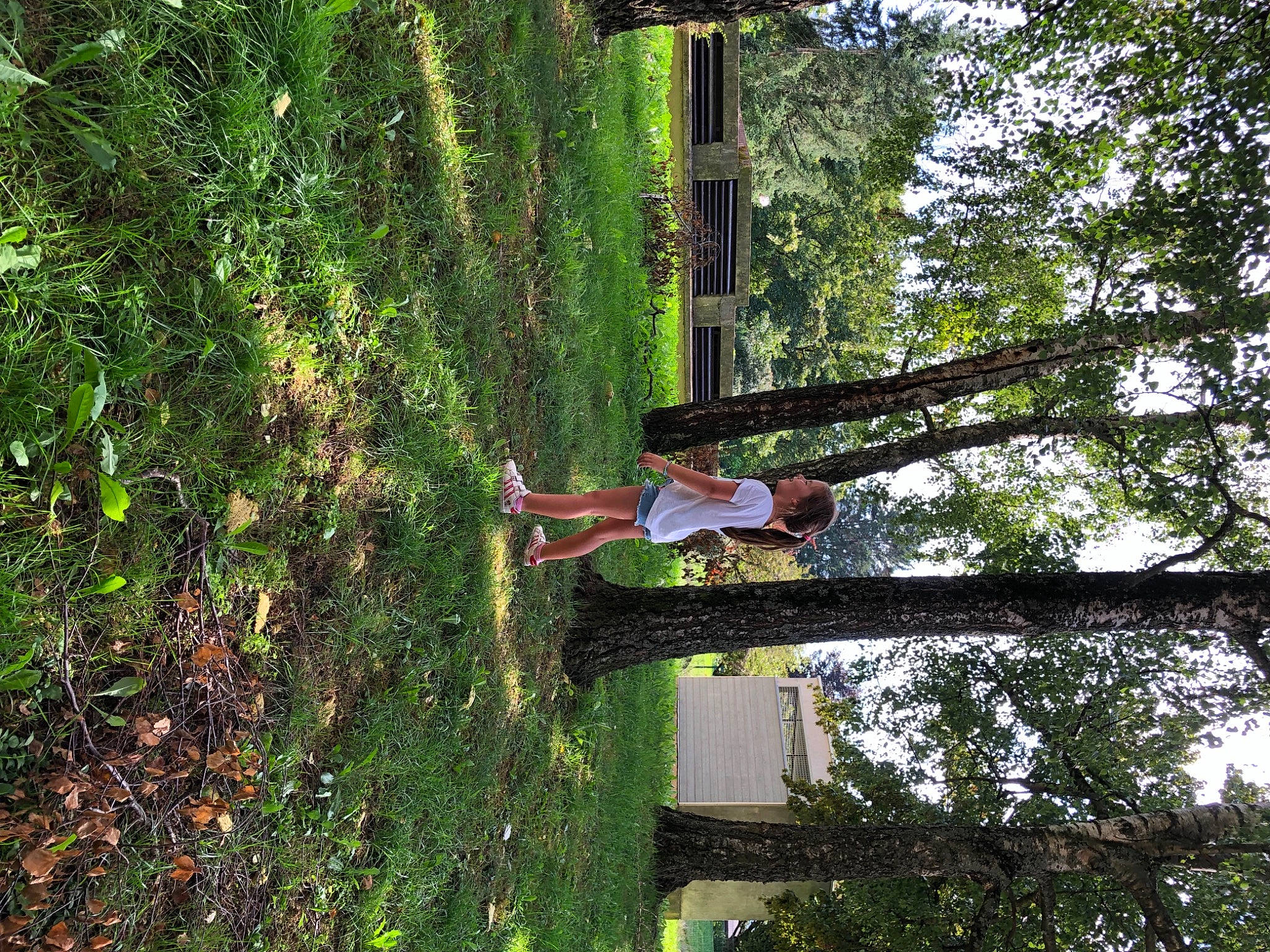 Lou a rejoint le concours — aidez-le/la à gagner de superbes lots ! adventure, forest, fun, grass, jungle, leisure, people_in_nature, person, plant, pole, recreation, rope, shrub, temperate_broadleaf_and_mixed_forest, terrestrial_plant, tree, trunk, twig, woodland, woody_plant