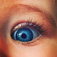 Elya participe au concours pour gagner de l'argent avec cette photo : brown, brown_hair, circle, close_up, electric_blue, eye, eyebrow, eyelash, flesh, human_body, iris, lens, macro_photography, makeover, material_property, nose, skin, tints_and_shades, wood, wrinkle