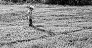 Braiden joined the competition — help win amazing prizes! black_and_white, farmworker, field, grass, grass_family, grassland, meadow, monochrome, monochrome_photography, paddy_field, pasture, photography, plant, prairie, soil, stock_photography