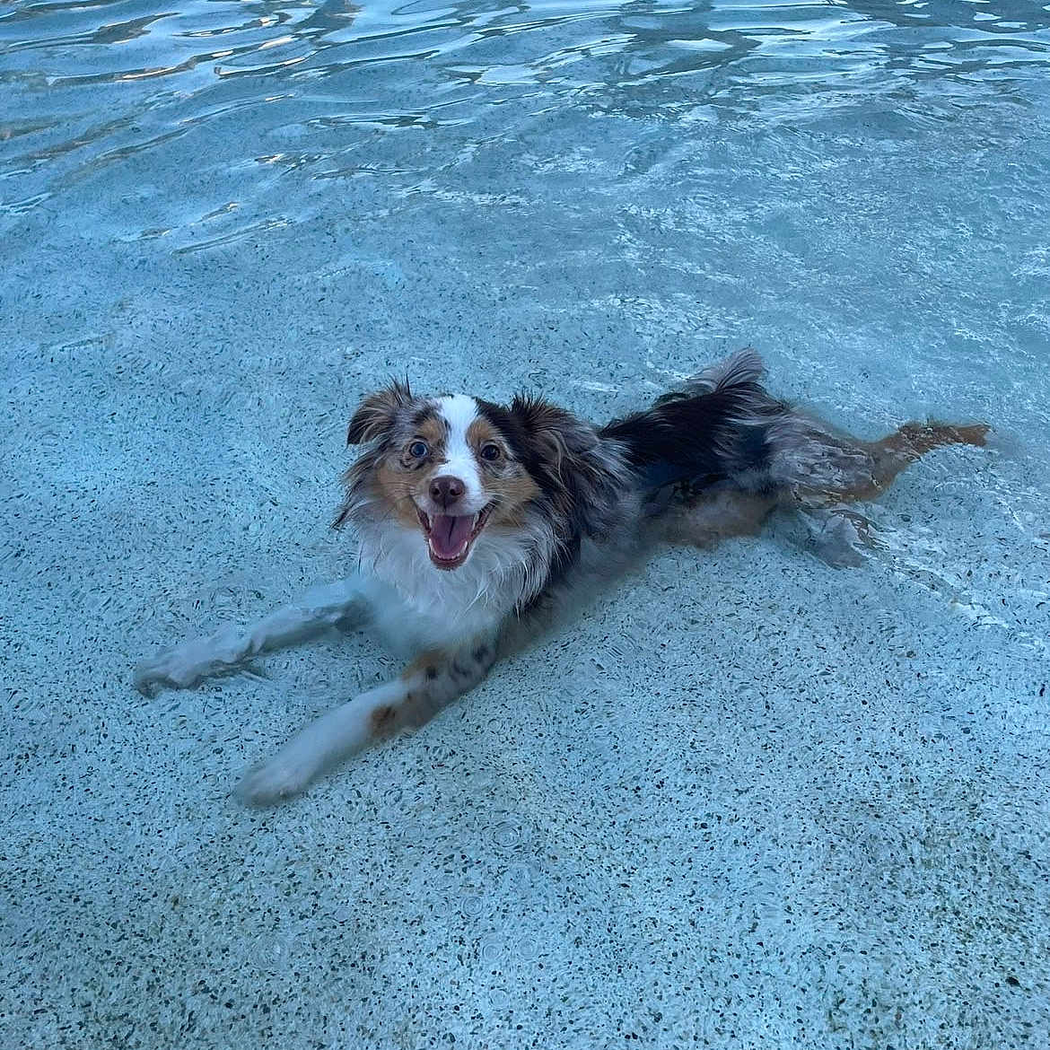 Delilah
