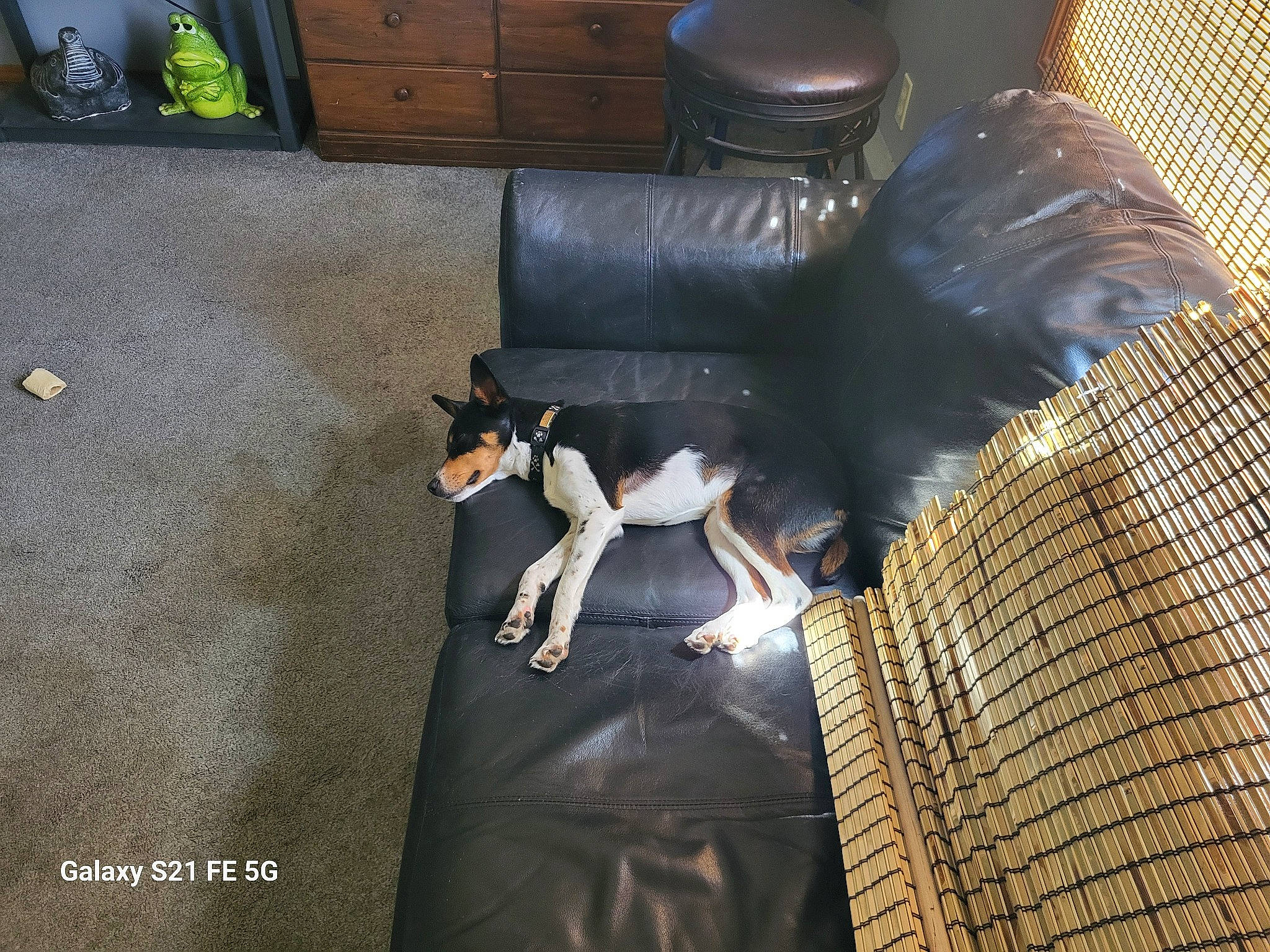 Mellow is registered to the contest to win money with this photo: bag, bird, building, cabinetry, chair, chest_of_drawers, drawer, fictional_character, flooring, formal_wear, hardwood, metal, room, shadow, shelf, wing, wood