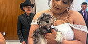 Rocky joined the competition — help win amazing prizes! bride, dog, wedding, white_dress, lace, tuxedo, puppy, indoor, person, cowboy_hat, formal_wear, man, woman, holding, celebration, people, smiling, background, floor, wall