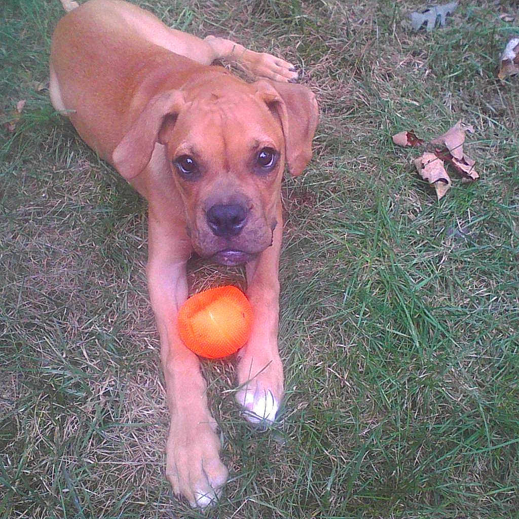 Joe Frazier is registered to the contest to win money with this photo: