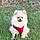 Milou