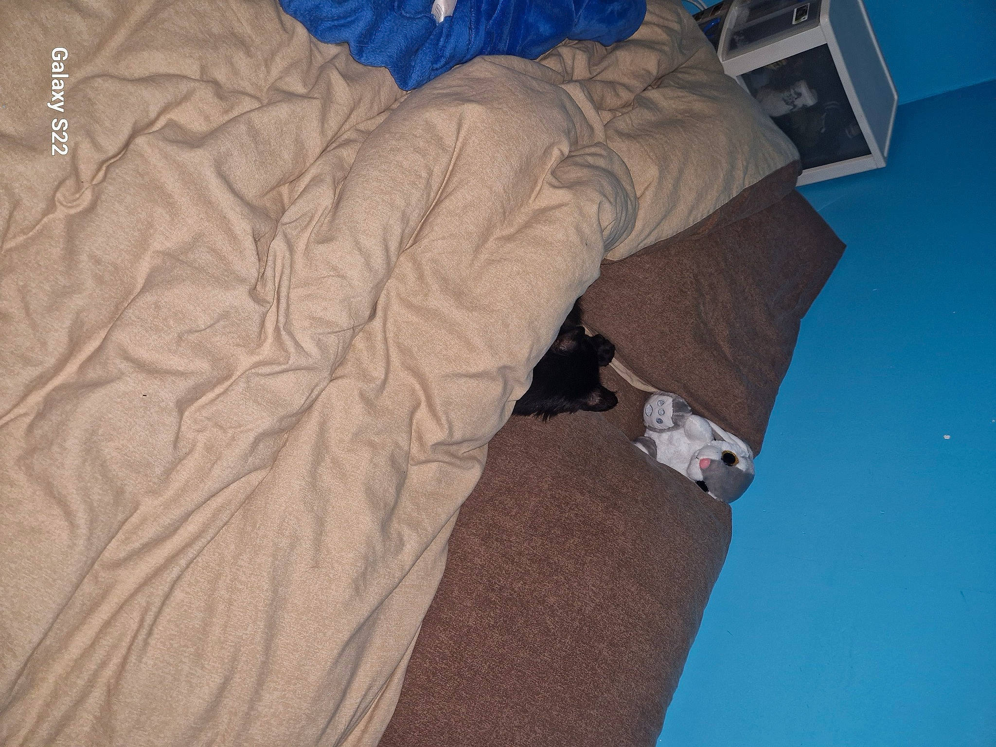 Cocaïne a rejoint le concours — aidez-le/la à gagner de superbes lots ! blue, building, ceiling, elbow, electric_blue, gesture, grey, human_leg, linens, pattern, room, shadow, sky, space, thigh, tints_and_shades, tree, wing, winter, wood