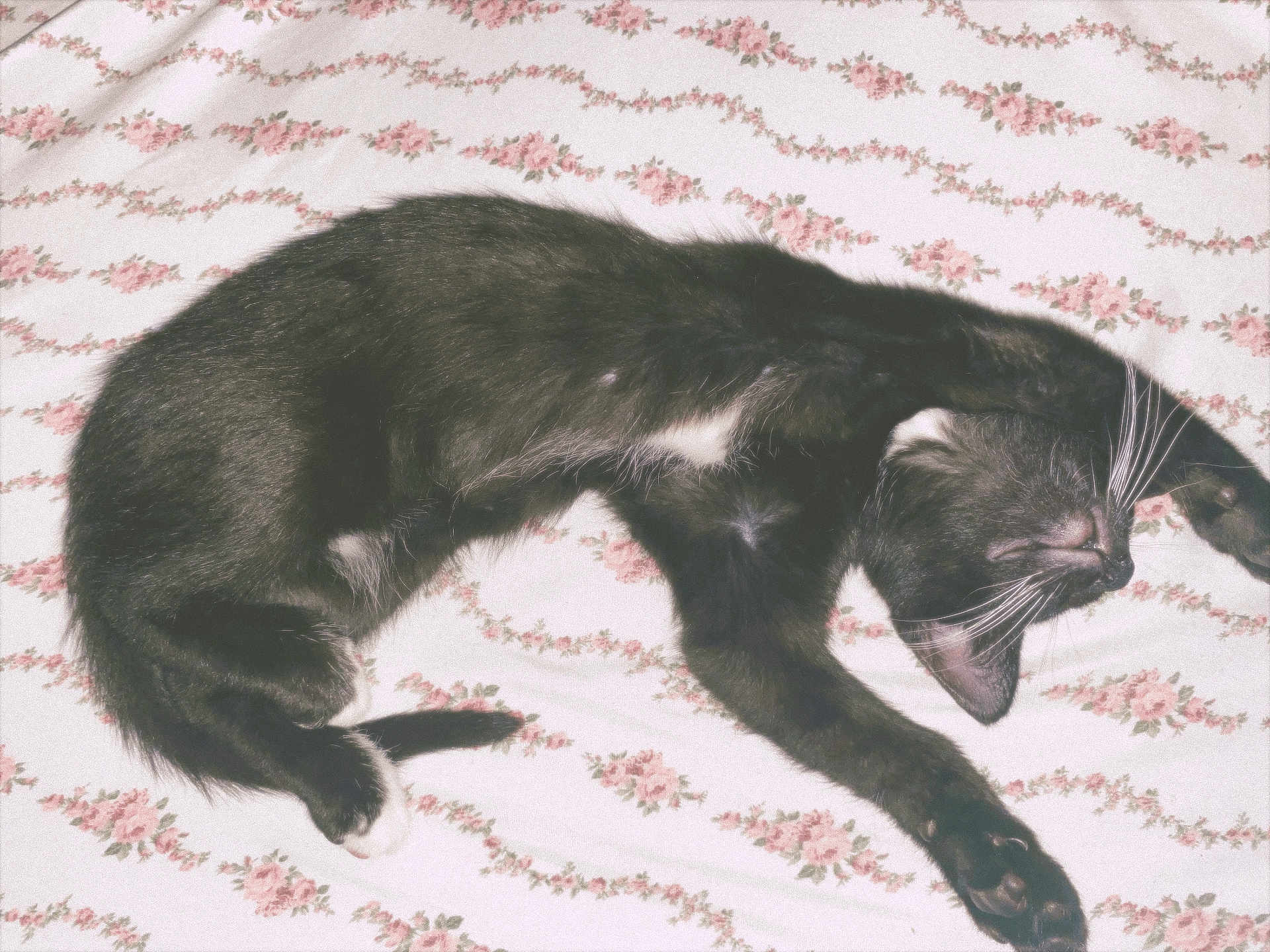 Binxy