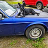 dog, car, blue_car, vintage_car, hood, tire, wheel, red_truck, grass, gravel, outdoor, animal, pet, collar, relaxed, parked_vehicle, metal, vehicle, daylight, nature