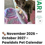 Grayse is registered to the contest to win money with this photo: advertisement, calendar, cat, cat_bed, discount, furniture, gray_cat, grayce, mobile_screenshot, online_store, pet, price_tag, product_page, quantity_selector, sale, screen_display, shopping_cart, text_overlay, user_interface, webpage