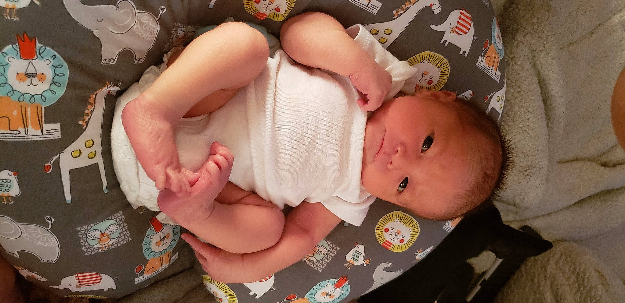 Abraham is registered to the contest to win money with this photo: baby, cheek, child, diaper, leg, person, toddler