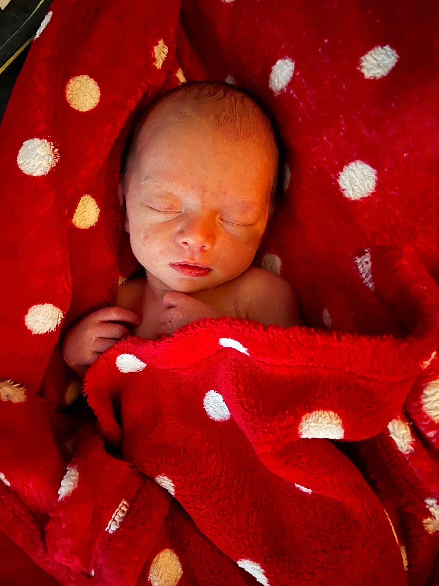 Kairo is registered to the contest to win money with this photo: newborn, baby, sleeping, blanket, red_blanket, polka_dots, infant, cute, peaceful, child, soft_texture, cozy, resting, wrapped, portrait, human, skin, hand, head, closed_eyes