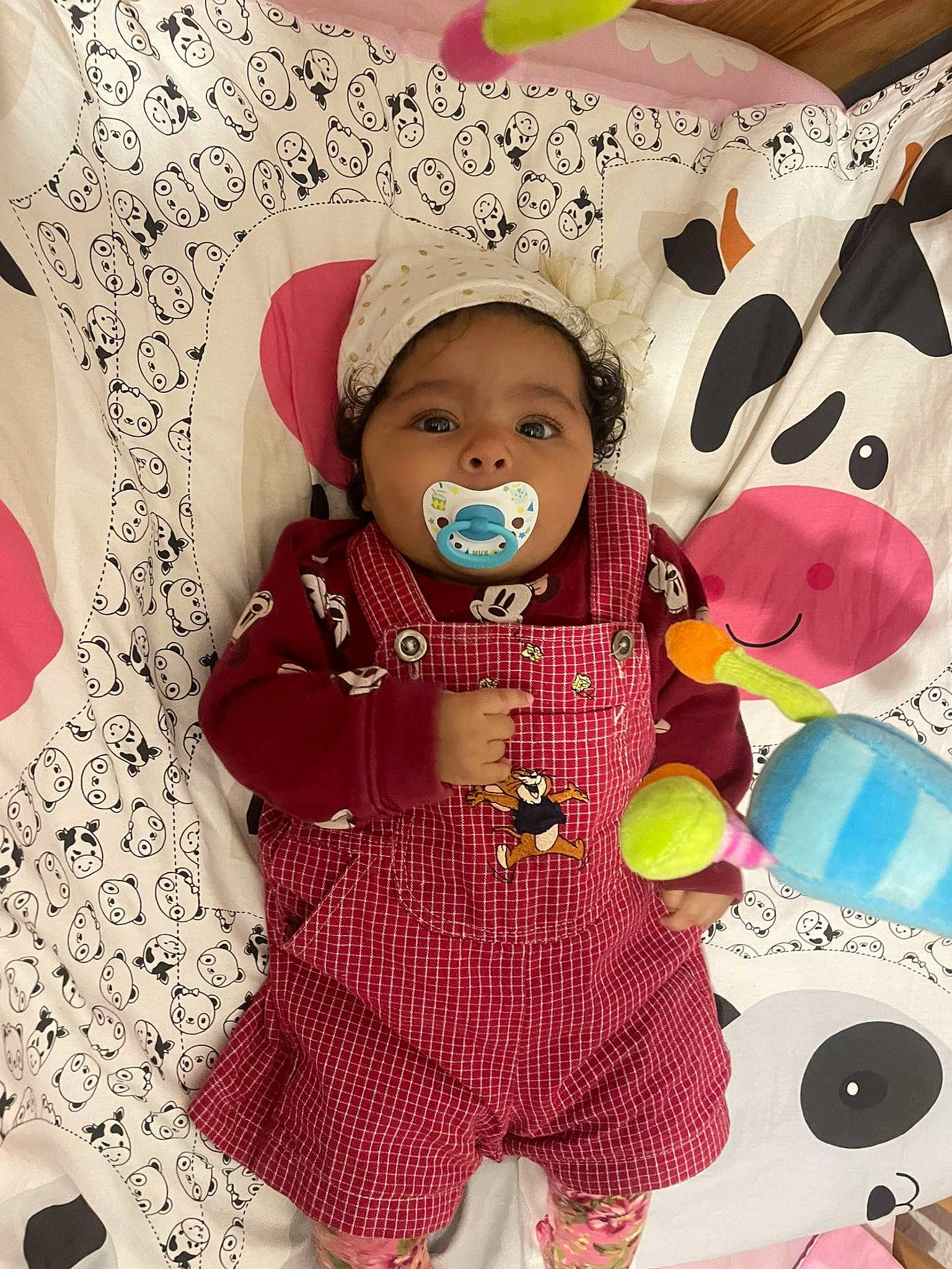 Catalina a rejoint le concours — aidez-le/la à gagner de superbes lots ! art, baby_toddler_clothing, carmine, child, costume, costume_hat, doll, fictional_character, fur, happy, headwear, magenta, pattern, person, pink, plush, product, purple, sleeve, stuffed_toy