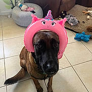 Enzo is registered to the contest to win money with this photo: animal, brown_furniture, canine, collar, cute, decor, dog, floor, funny, indoor, living_room, pet, pink_inflatable, playful, sitting, stuffed_animal, tail, tile_floor, toy, unicorn_headband