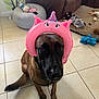 animal, brown_furniture, canine, collar, cute, decor, dog, floor, funny, indoor, living_room, pet, pink_inflatable, playful, sitting, stuffed_animal, tail, tile_floor, toy, unicorn_headband