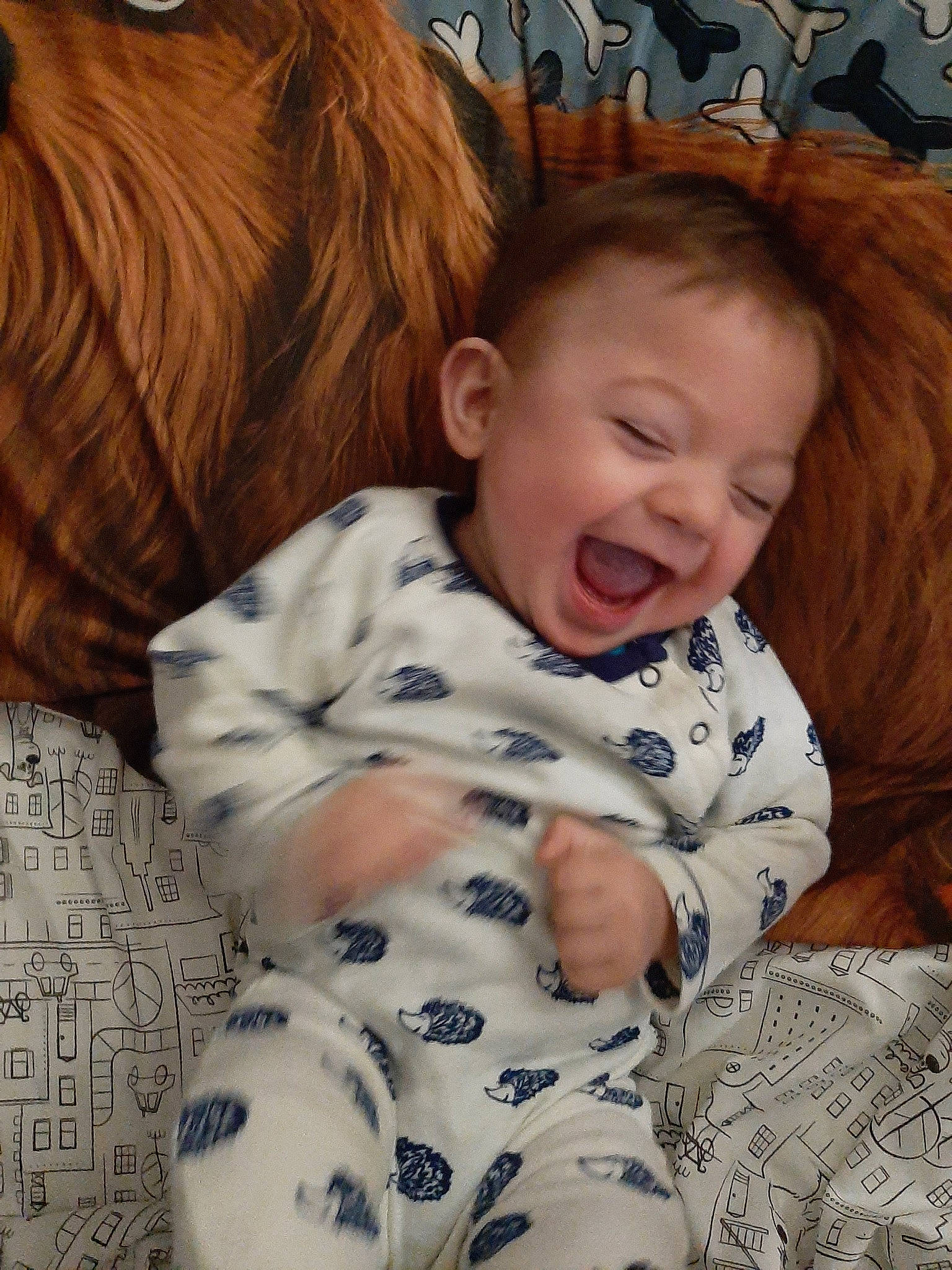 Forrest is registered to the contest to win money with this photo: baby, bedtime, birth, canidae, cheek, child, eye, facial_expression, fawn, fur, nose, person, skin, sleep, smile, toddler