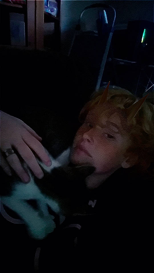 Kaiden is registered to the contest to win money with this photo: cat, comfort, companion_dog, darkness, ear, eyebrow, fawn, felidae, flash_photography, fun, gesture, jaw, lap, long_hair, mammal, mouth, nose, person, small_to_medium_sized_cats, vertebrate