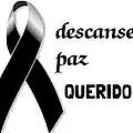 Verenice D.