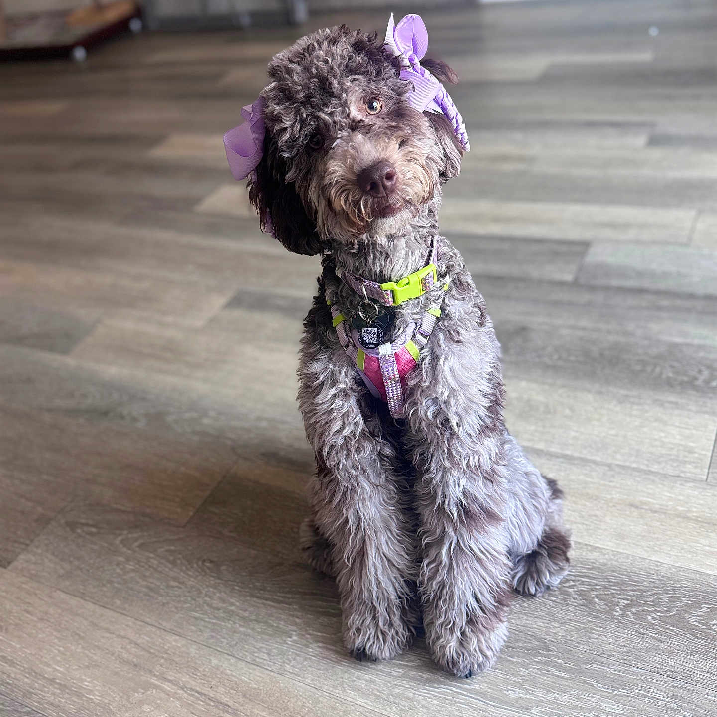 Darla