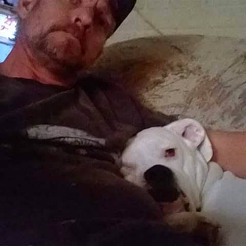 Niggz joined the competition — help win amazing prizes! baseball_cap, beard, cap, carnivore, cloud, comfort, companion_dog, cool, dog, dog_breed, ear, fawn, happy, hat, metal, selfie, t_shirt, vertebrate, working_animal, wrinkle