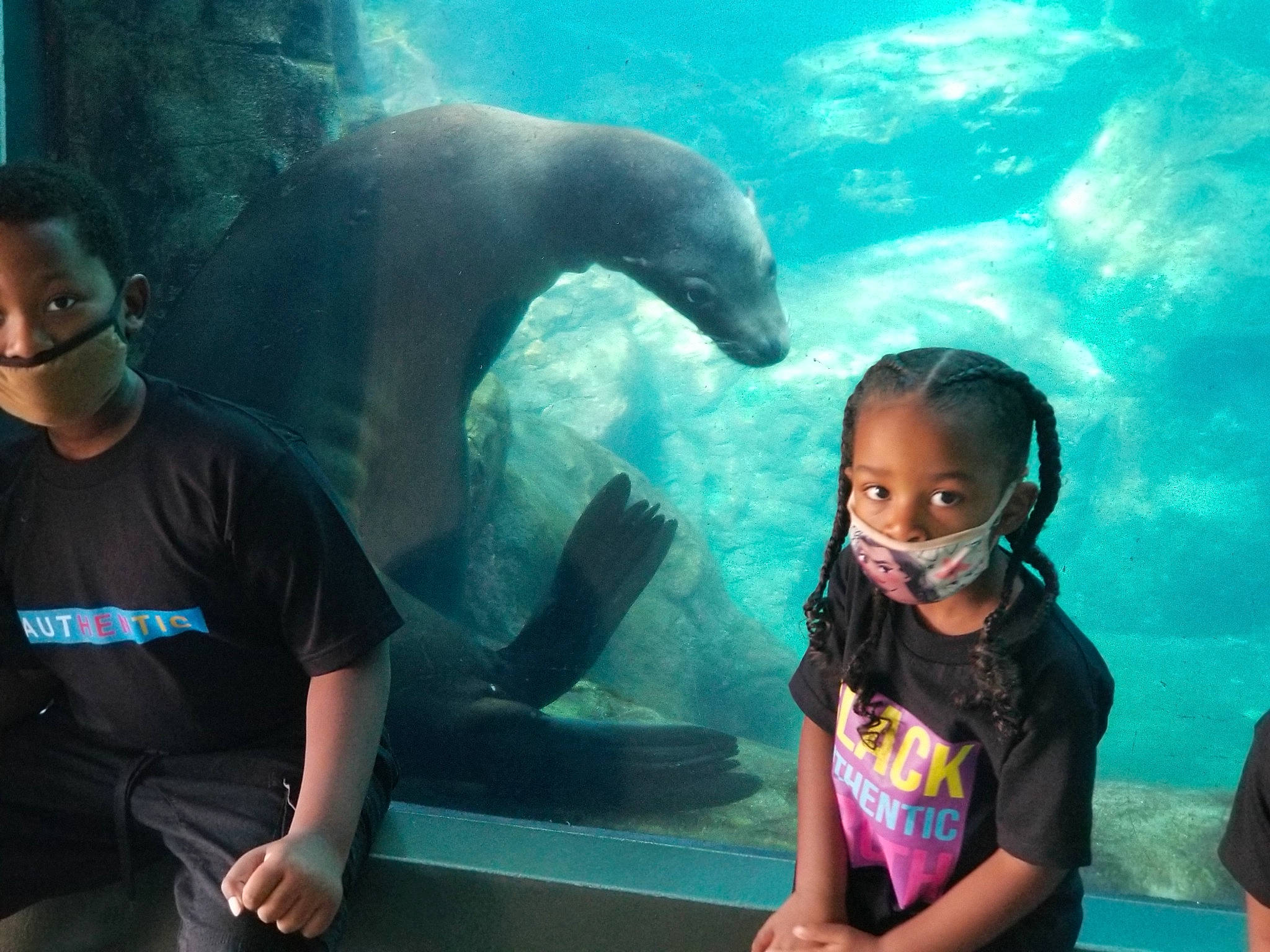 Ahparyam is registered to the contest to win money with this photo: adaptation, aquarium, clothing, fin, fun, green, happy, leisure, marine_biology, organism, person, photograph, recreation, snapshot, t_shirt, toddler, underwater, vertebrate, water, world