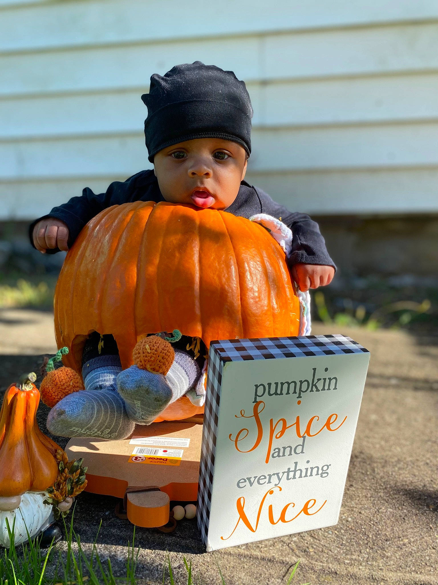 Kymere is registered to the contest to win money with this photo: calabaza, cap, child, cucurbita, fruit, fun, gourd, grass, headwear, hoodie, local_food, orange, person, plant, pumpkin, recreation, sitting, squash, toddler, trick_or_treat