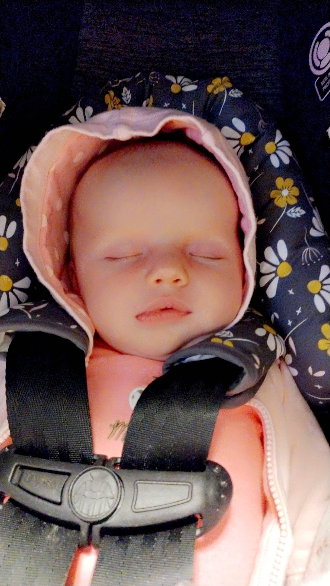 Aurora is registered to the contest to win money with this photo: baby, baby_carriage, baby_in_car_seat, baby_products, baby_safety, baby_sleeping, baby_toddler_clothing, car_seat, cheek, child, comfort, eye, eyelash, fashion_accessory, head, iris, pattern, person, pink, sitting