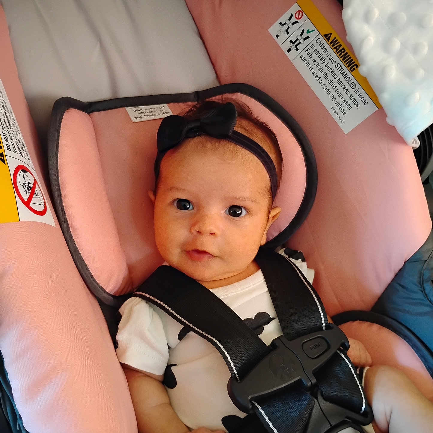 Makenzie joined the competition — help win amazing prizes! baby, infant, car_seat, child, headband, black_bow, straps, pink, gray, cute, safety, seat, clothing, person, portrait, indoors, looking, wide_eyes, secure, adorable