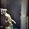 Malo participe au concours pour gagner de l'argent avec cette photo : cat, jumping, indoor, pet, animal, feline, whiskers, fur, blurred_background, vertical, white_and_orange, motion, leaping, soft_light, shadow, curtain, household, domestic, playful, side_view