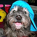 Brandy S.