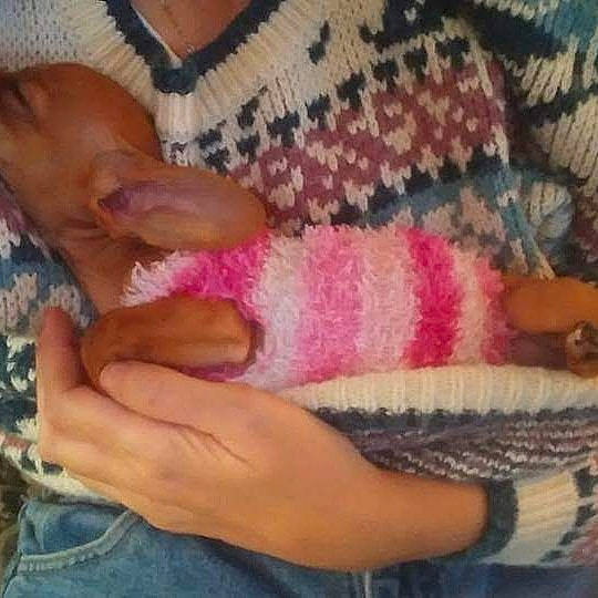 Lucy is registered to the contest to win money with this photo: art, comfort, craft, creative_arts, fashion_accessory, finger, foot, fur, gesture, human_leg, linens, magenta, nail, pattern, thread, thumb, wool, woolen, wrinkle, wrist