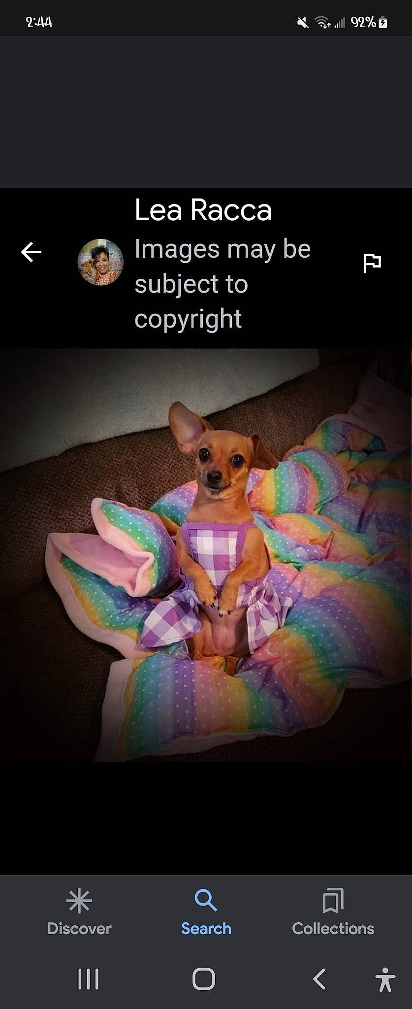 Lucy joined the competition — help win amazing prizes! animated_cartoon, animation, art, companion_dog, dog, dog_breed, dog_supply, fawn, fictional_character, font, gadget, illustration, magenta, multimedia, photo_caption, screenshot, stuffed_toy, toy, toy_dog, working_animal