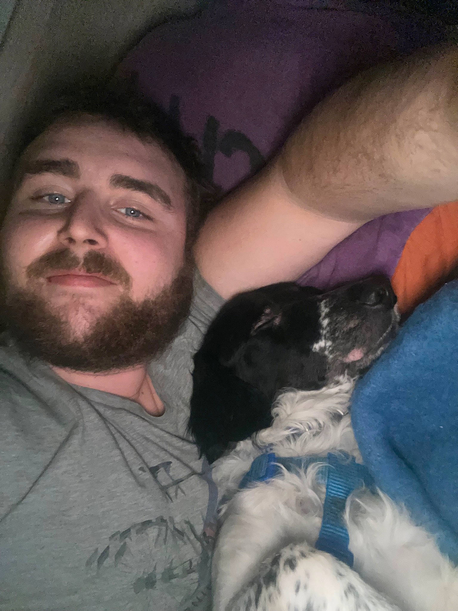 Levi a rejoint le concours — aidez-le/la à gagner de superbes lots ! beard, carnivore, comfort, companion_dog, cool, dog, dog_breed, ear, facial_hair, fun, gesture, happy, jaw, mammal, mouth, nose, organ, skin, smile, vertebrate