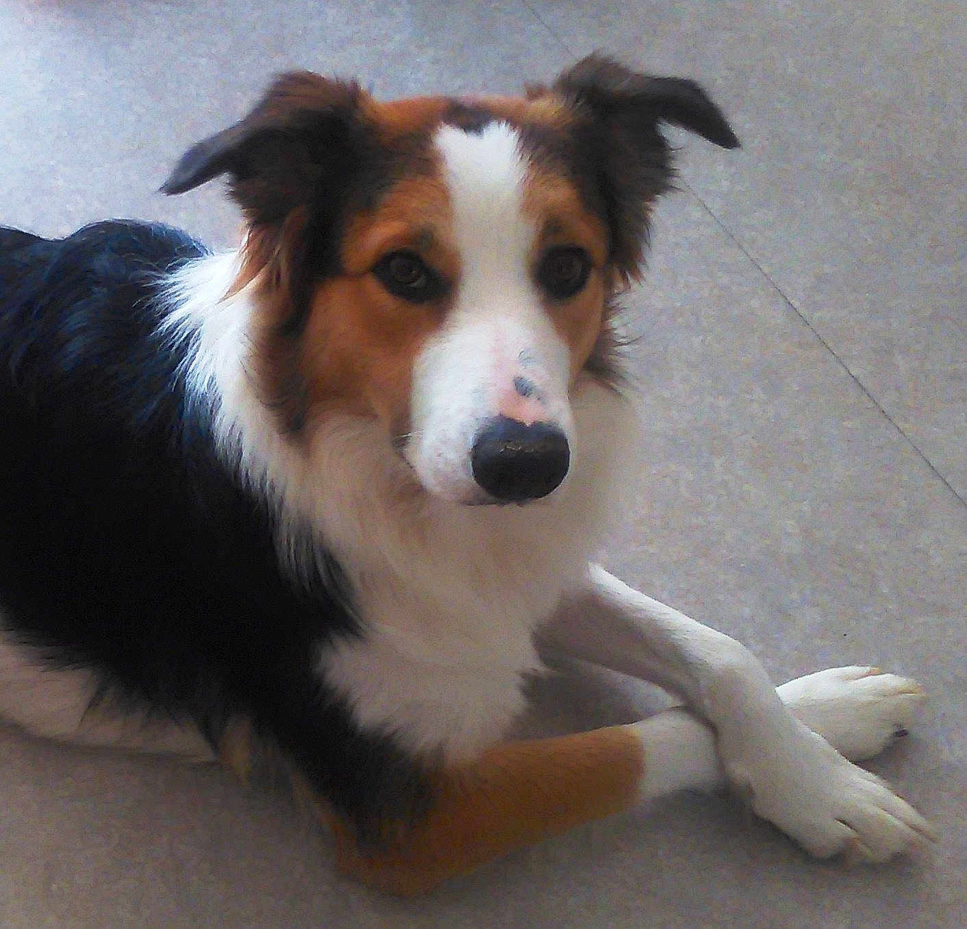 Mya
