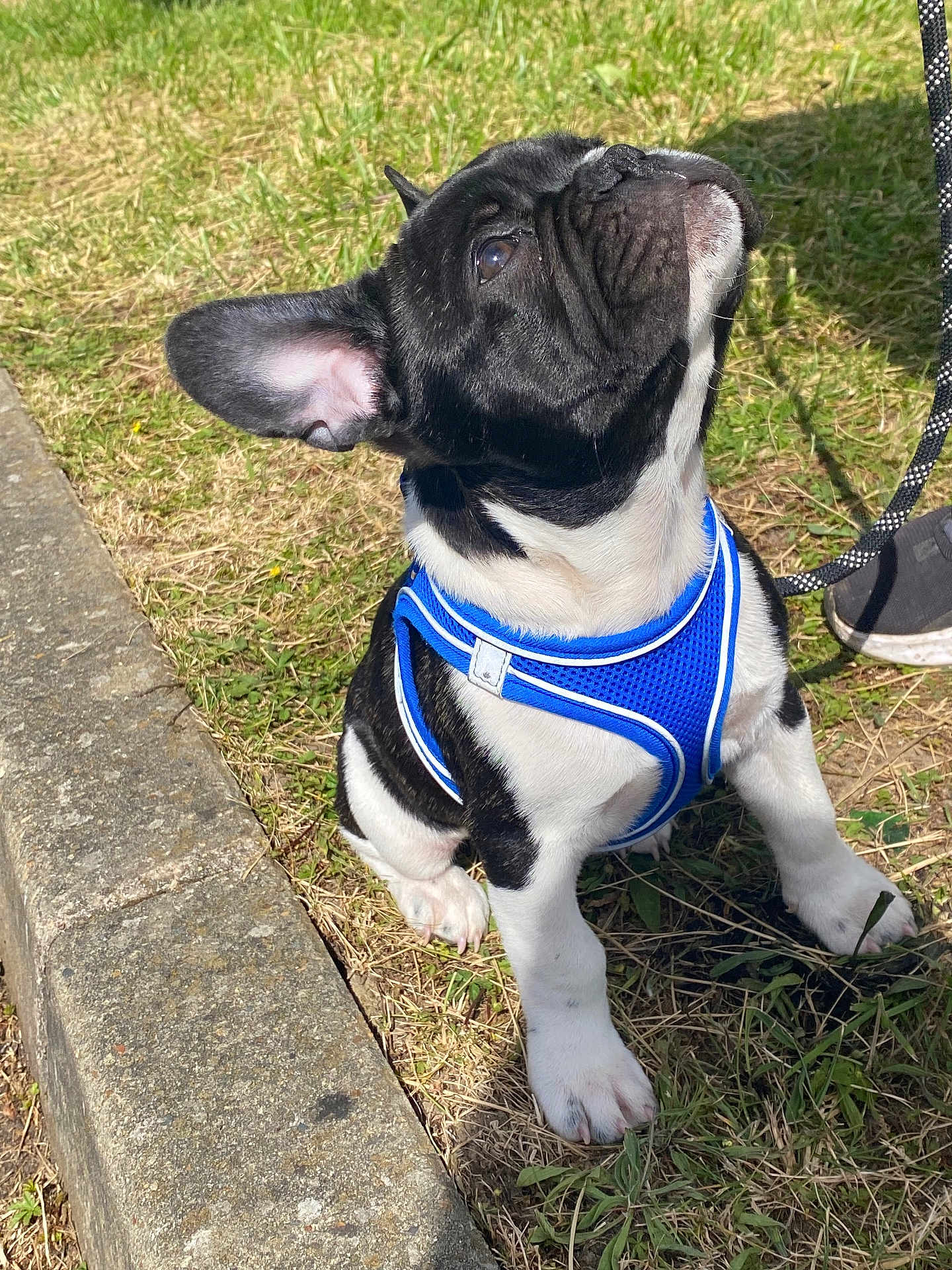 Rio
