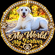 Opal joined the competition — help win amazing prizes! animal, bokeh, decorative, dog, forest, gold_frame, happy, jeweled_frame, labrador, lying_down, nature, open_mouth, outdoor, pebbles, pet, portrait, sunlight, text_overlay, tongue, white_dog