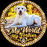 animal, bokeh, decorative, dog, forest, gold_frame, happy, jeweled_frame, labrador, lying_down, nature, open_mouth, outdoor, pebbles, pet, portrait, sunlight, text_overlay, tongue, white_dog