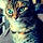 Chaton