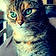Chaton