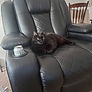Minnie Kramer is registered to the contest to win money with this photo: animal, black_cat, can, carpet, cat, cozy, cup_holder, domestic_cat, furniture, home, indoor, leather_chair, living_room, pet, quiet, recliner, relaxed, resting, tablecloth, wooden_chair