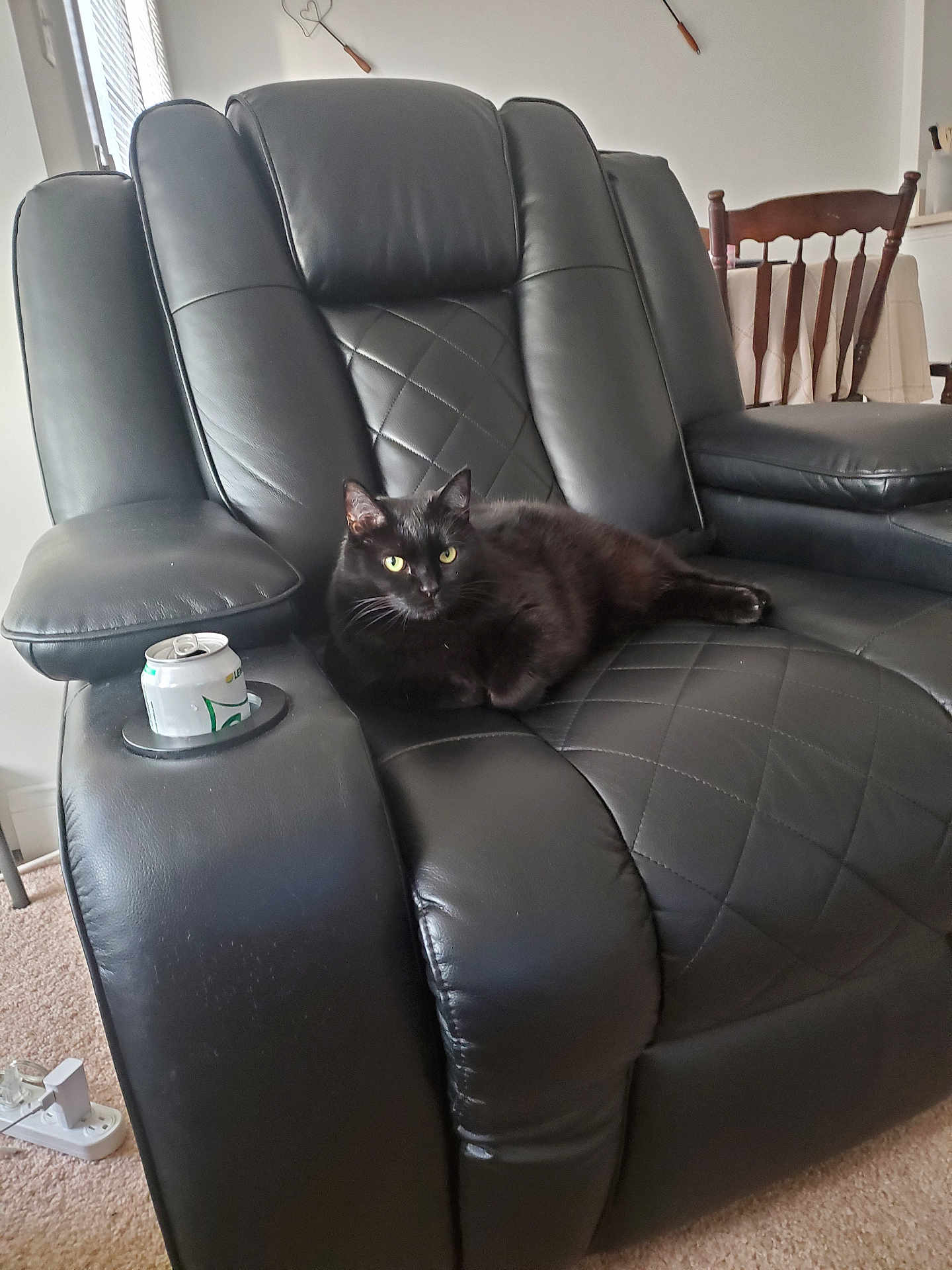 Minnie Kramer is registered to the contest to win money with this photo: animal, black_cat, can, carpet, cat, cozy, cup_holder, domestic_cat, furniture, home, indoor, leather_chair, living_room, pet, quiet, recliner, relaxed, resting, tablecloth, wooden_chair