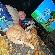 Garfield joined the competition — help win amazing prizes! child, sleeping, cat, blanket, pillow, television, animation, cartoon, indoor, bedroom, nap, cozy, orange_cat, boy, furniture, cup, toy, relaxing, home, comfort
