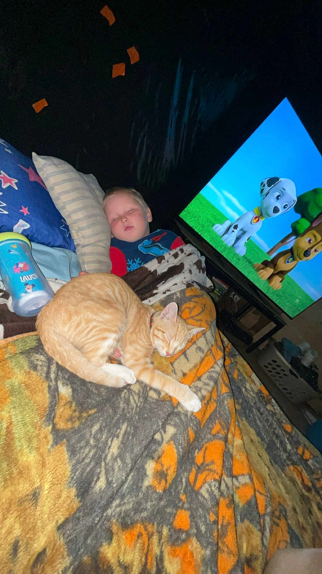 Garfield joined the competition — help win amazing prizes! child, sleeping, cat, blanket, pillow, television, animation, cartoon, indoor, bedroom, nap, cozy, orange_cat, boy, furniture, cup, toy, relaxing, home, comfort