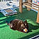 Minette