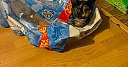 Luna is registered to the contest to win money with this photo: cat, plastic_pack, water_bottles, wooden_floor, mountain_dew_box, indoor, pet, curious, animal, container, floor, peeking, hydration, packaging, domestic, playful, black_cat, yellow_eyes, home, bottle_pack