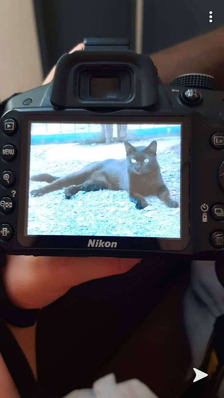 Popcorn a rejoint le concours — aidez-le/la à gagner de superbes lots ! camera, camera_accessory, cameras_optics, digital_camera, display_device, electronic_device, electronics, gadget, hand, media, multimedia, photography, point_and_shoot_camera, screen, technology