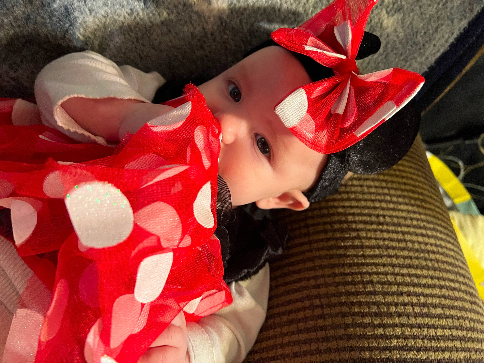 Blessing joined the competition — help win amazing prizes! baby, baby_toddler_clothing, carmine, child, christmas, christmas_eve, costume_hat, dress, event, fashion_accessory, fictional_character, happy, hat, headwear, holiday, lap, mammal, pattern, person, textile