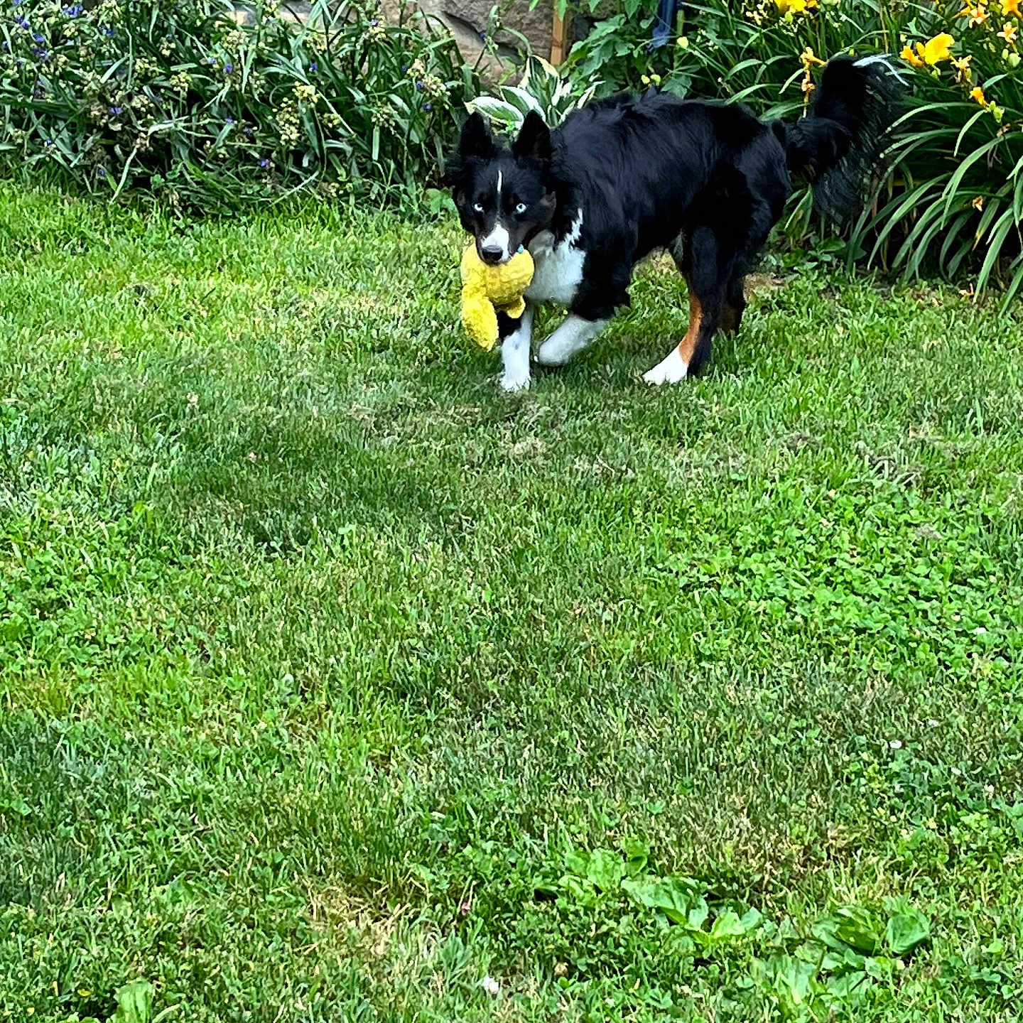 Luna