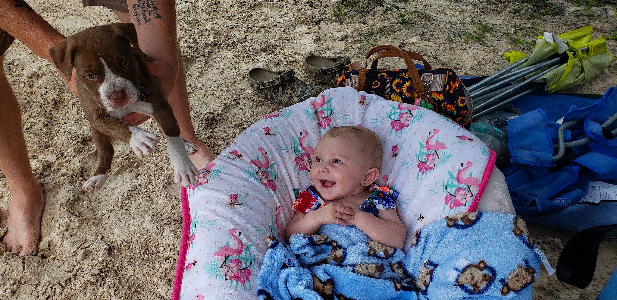 Tinley joined the competition — help win amazing prizes! baby, baby_products, child, fawn, person, product