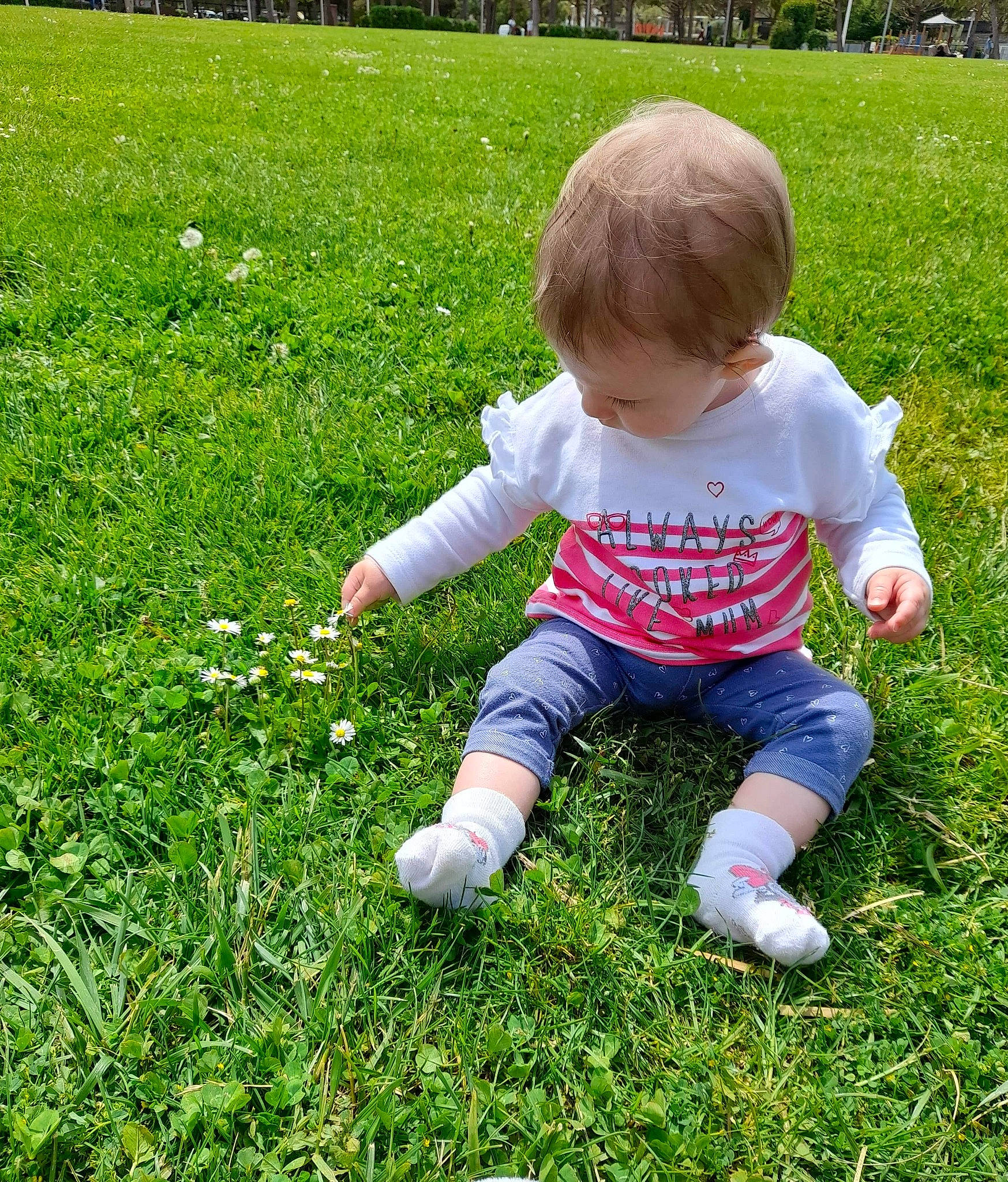 élyanna participe au concours pour gagner de l'argent avec cette photo : baby, baby_toddler_clothing, botany, child, flower, garden, grass, grass_family, grassland, groundcover, happy, lawn, leaf, meadow, people_in_nature, person, plant, sitting, spring, toddler